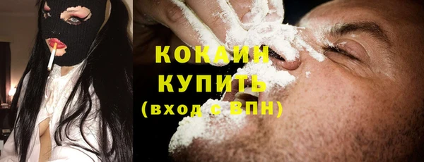 твердый Гусь-Хрустальный