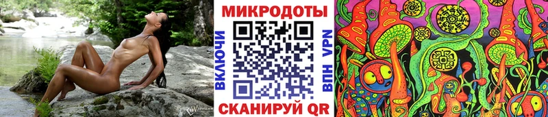 Псилоцибиновые грибы Psilocybine cubensis  Ядрин 