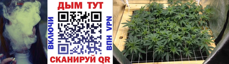 Канабис Bruce Banner  Ядрин 